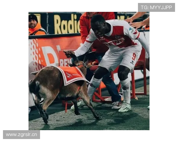 浙江FC球迷联署坚决反对更名